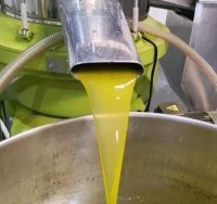 التنكة بـ 70 ديناراً.. هل يدخل الزيت السيناوي السوق الأردني؟